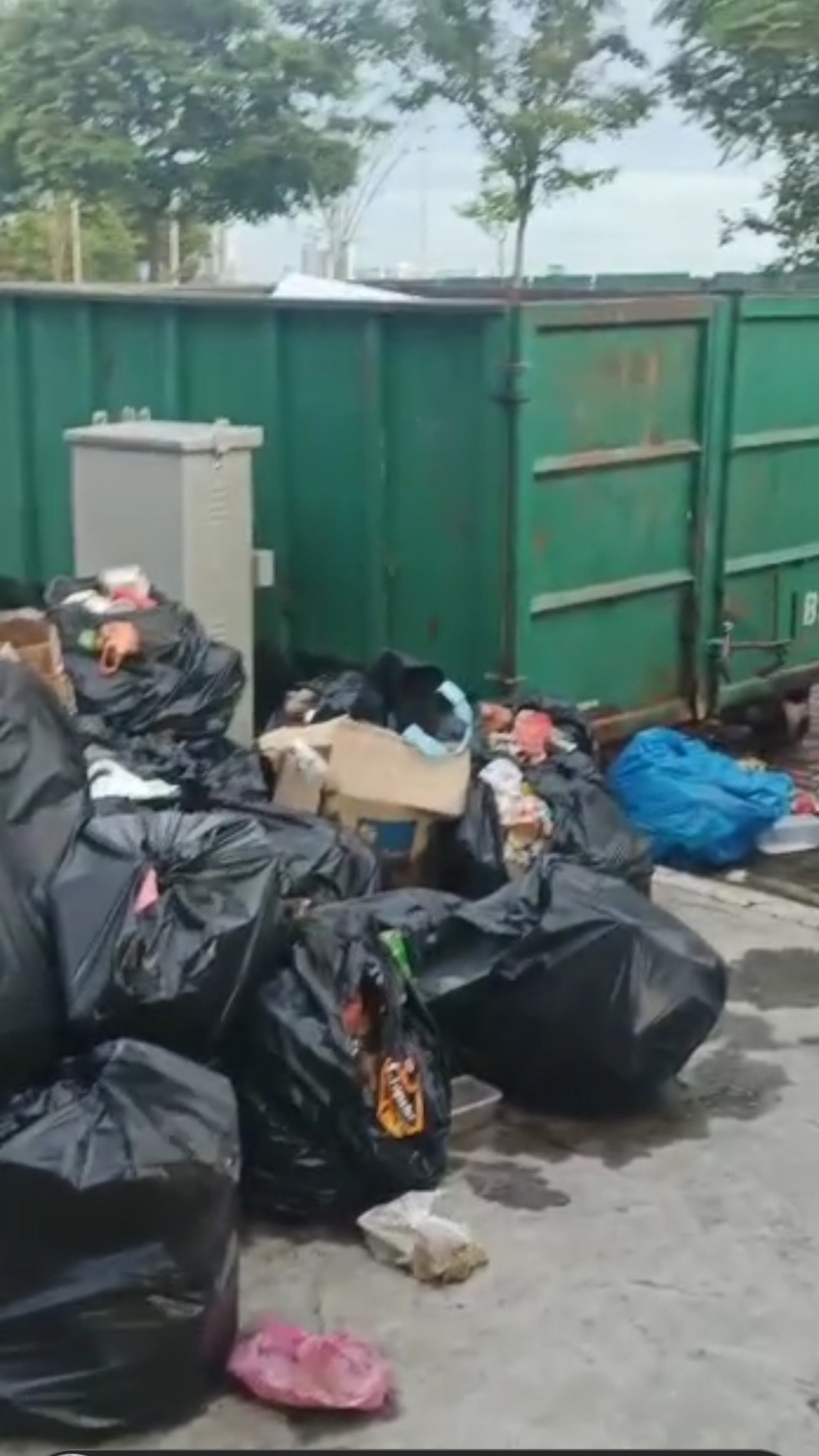 bulk removal kl selangor